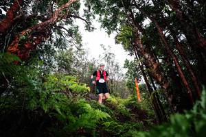 BIB: 
                            <button type="button" onclick="openModal(26202946)" class="btn btn-primary btn-sm float-right btn-popup" data-toggle="modal" data-target=".modal-high-quality">
                        <i class="fas fa-shopping-cart"></i> Add to Cart
                    </button>
                                            <button type="button" onclick="isThisMe(26202946, true)" class="btn btn-success btn-sm float-right btn-popup btn-isme hidden" data-toggle="tooltip" data-placement="bottom" title="นี่คือรูปของคุณใช่ไหม คลิกที่นี่เพื่อเอาเข้าอัลบั้ม">
                        <i class="fas fa-plus"></i> Add to album
                    </button>
                    <button type="button" onclick="isThisMe(26202946, false)" class="btn btn-warning btn-sm float-right btn-popup btn-isnotme hidden">
                        <i class="fas fa-ban"></i> Remove from album
                    </button>